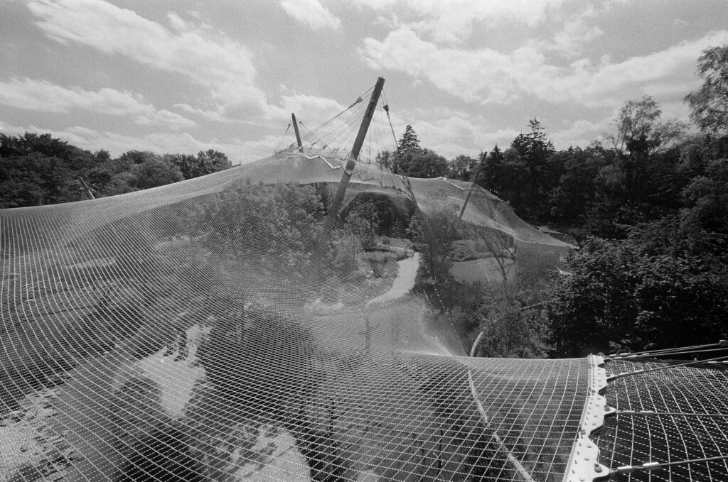 Frei Otto x Kengo Kuma