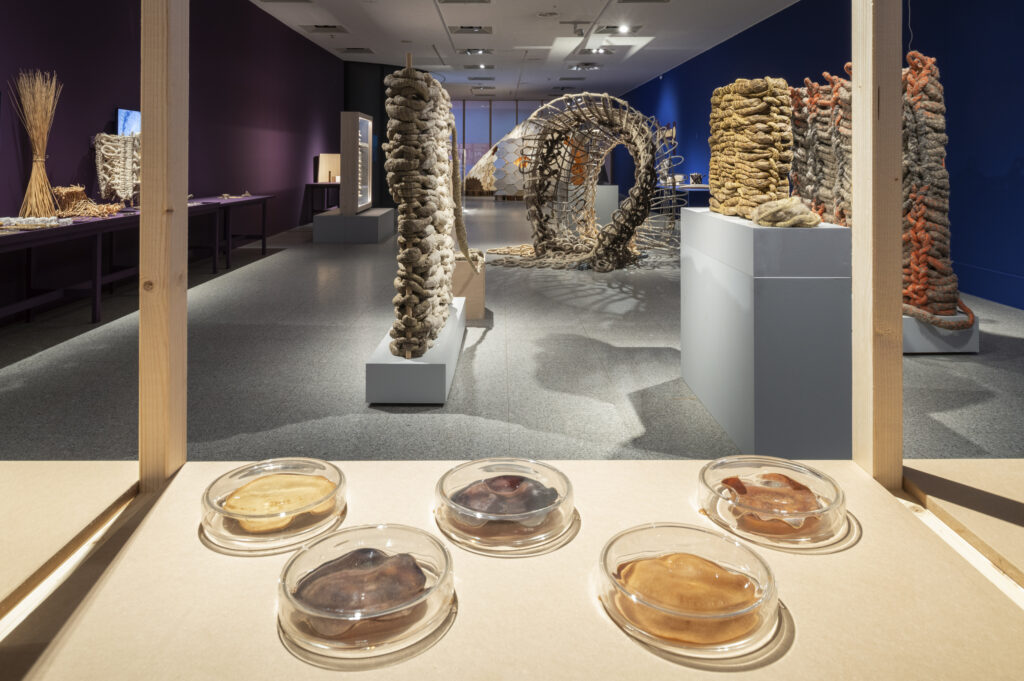 Foto: David Ertl, 2025 © Kunst- und Ausstellungshalle der Bundesrepublik Deutschland